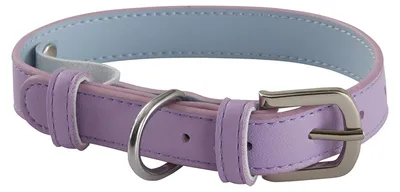 Produktbild von JOTEX Inu Hunde-/Katzenhalsband, Blau