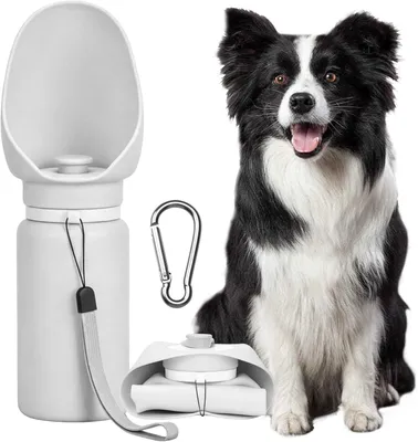 Produktbild von Trinkflasche für Hunde, 550 ml, Kunststoff, auslaufsicher, für unterwegs