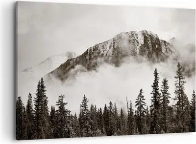 Produktbild von Bild auf Leinwand - Leinwandbild - Einteilig - Nebel Berg Wald - 120x80cm - Wand Bild - Wanddeko - Wandbilder - Leinwanddruck - Bilder - Wanddekoration - Leinwand bilder - Wandbild - AA120x80-4936