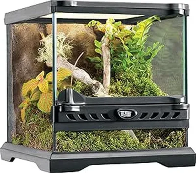 Produktbild von Reptilien Gläsernes Terrarium - Einzigartige Frontbelüftung - 20x20x20 cm