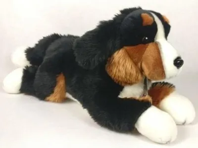 Image de Bouvier bernois 61cm
