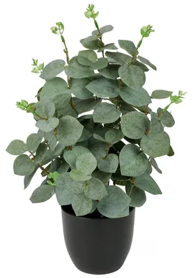 Image de Plantes artificielles en pot, feuilles d'eucalyptus artificielles dans un pot noir, décoration artificielle en eucalyptus de 36 cm pour le salon, la chambre à coucher, la table, la salle de bains, le bureau ou la cuisine