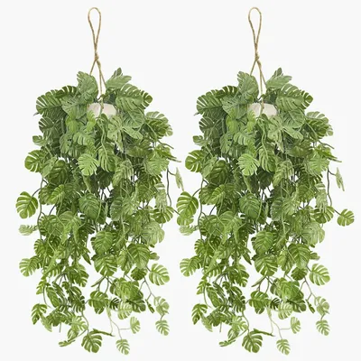 Image de 2 pièces de plantes artificielles pour la décoration extérieure et le salon