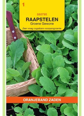Obrázok produktu pre Oranjeband – cibuľa/cesnak – 1 balenie semien