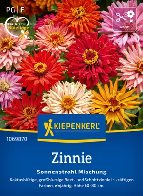 Produktbild von Kiepenkerl Zinniensamen Sonnenstrahl 50 Pflanzen