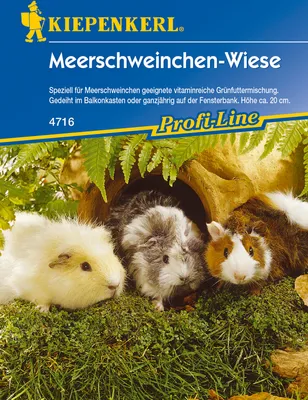 Produktbild von [STREICHUNG 2024] Meerschweinchenwiese | Kleintiersaaten von Kiepenkerl