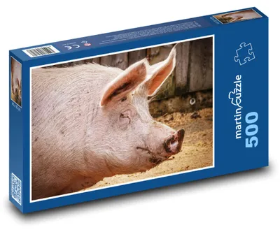 Obrázek produktu pro Puzzle 500 Prase na farmě - martinpuzzle