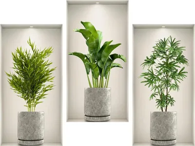Imagen del producto de Calcomanías de pared con diseño de plantas en 3D, juego de 3 unidades, 45 x 23 cm, ideales para el salón
