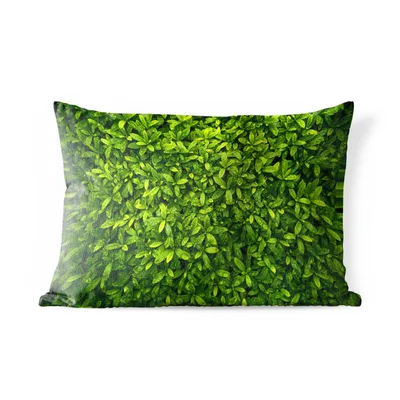 Obrázek produktu pro MuchoWow® Vnější polštář - Světle zelené listy -60x40 cm- Odolnost proti povětrnostním vlivům - polštář do obývacího pokoje