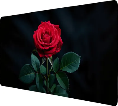 Produktbild von Leuchtend rote Rose Schreibtischunterlage 89x40cm XXL Mauspad für Rosenfans