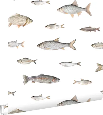 Produktbild von ESTAhome Tapete Fische Grau 50 x 900 cm