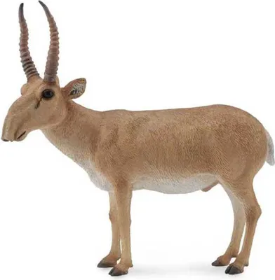 Produktbild von Wildlife Saiga Antilope 8,8 x 8,6 cm