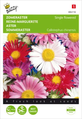 Productafbeelding van Sommeraster, eenvoudige mix | Asters zaden van Buzzy Seeds