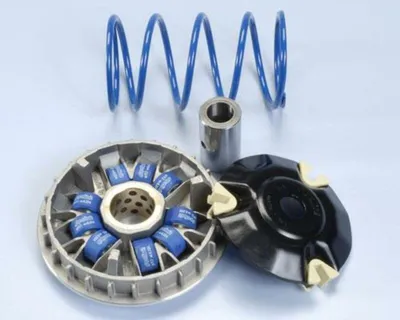 Produktbild von POLINI HI-SPEED Variator 9 Rollen PIAGGIO 200/250/300