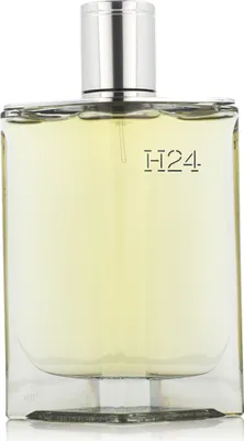 Image de Hermès H24 eau de parfum pour homme 175 ml