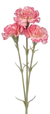 Produktbild von Clayre & Eef Dekoration Ast Rosa Kunststoff