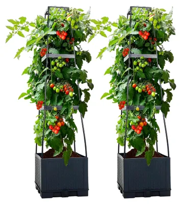 Produktbild von 2er Set Tomatentopf mit Rankhilfe (28×28×114 cm, 14 L), selbstbewässernder Pflanzenturm in Anthrazit für Tomaten und Klettergemüse – platzsparendes Hochbeet für Innenräume