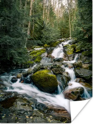 Produktbild von MuchoWow® Poster Natur - Wasserfall - Bäume - Herbst 120x160 cm - Wandbilder