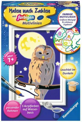 Produktbild von Nachteule Ravensburger 28772
