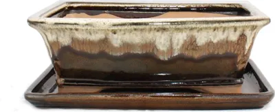 Immagine prodotto di Ciotola bonsai con piattino Gr. 4 - marrone / beige - rettangolare - modello G93 - L 25,5cm - P 20cm - H 9cm