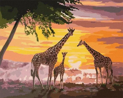 Produktbild von Malen nach Zahlen - Giraffenfamilie 40x50cm