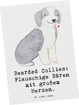 Produktbild von Mr. & Mrs. Panda Postkarte Bearded Collie Bärenherz - Weiß - Geschenk, Hunderasse, Grußkarte, Fotokarte, Hunderassen Pflege, Beschreibung, Familie, Einfühlungsvermögen