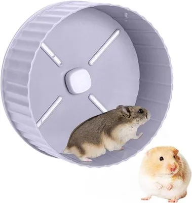 Image de Roue silencieuse pour petits animaux, gris
