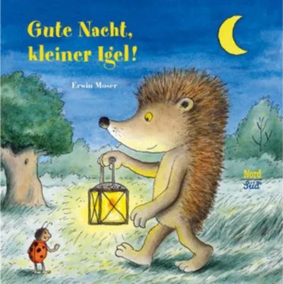 Produktbild von Gute Nacht, kleiner Igel!