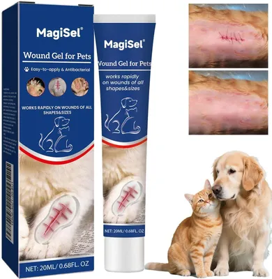 Productafbeelding van Wondgel 20 ml, voor honden en katten, natuurlijke ingrediënten, waterproof, dierenverzorging