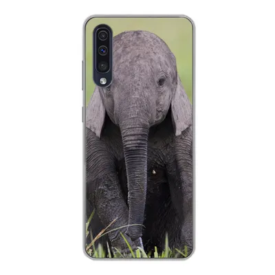 Produktbild von MuchoWow® Handyhülle Schutzhülle Hülle für Samsung Galaxy A30s Elefant - Baby - Tiere - Gras - Natur Silikon Softcase Handy Hülle - Karteninhaber