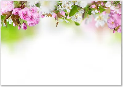 Produktbild von Tulup® Leinwandbild - 100x70 cm - Wandkunst - Drucke auf Leinwand - Leinwanddruck - Blumen & Pflanzen - Mehrfarbig - Frühlingsblumen