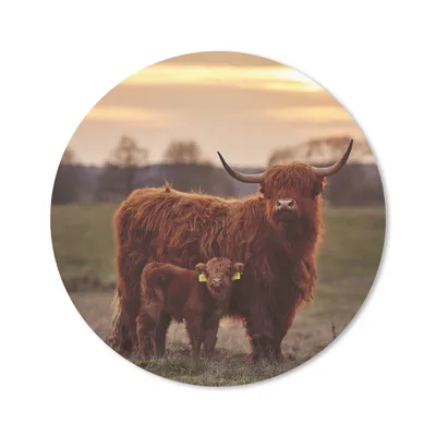 Produktbild von MuchoWow® Mauspad Mousepad Schottische Highlander - Tiere - Landschaft - Sonnenuntergang - Kuh 40x40 cm - Mousepads - Maus Mat - Pad - Mausunterlage - Schreibtisch Accessoires