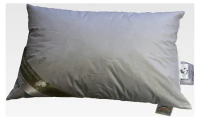 Produktbild von Kopfkissen 40/60 cm 250 g Daunenkissen
