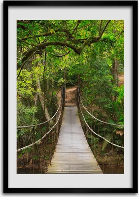 Produktbild von Bild - Bilderrahmen - 50 cm x 70 cm - MDF - Rahmen - Wandkunst Hängebrücke im Wald