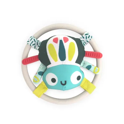 Produktbild von Miniland Sinnesrassel – Spinne