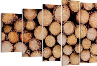 Produktbild von Bild auf Leinwand - Leinwandbild - 5 Teile - Holz Baumstämme Stämme - 150x100cm - Wand Bild - Wanddeko - Wandbilder - Leinwanddruck - Bilder - Wanddekoration - Leinwand bilder - EG150x100-4864