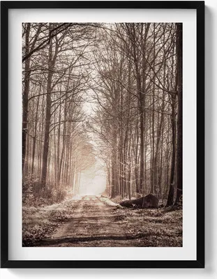 Produktbild von Waldweg in Sepia-Farben– Wandbild mit Rahmen – Gerahmtes Bild  – Wanddekoration – 60x80 cm –  Schwarz Rahmen