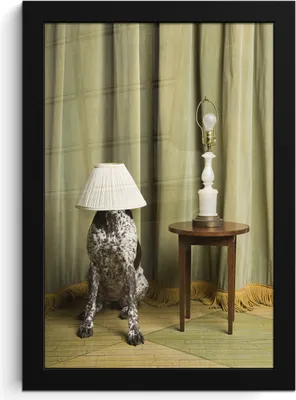 Produktbild von MuchoWow® MuchoWow® Gerahmtes Poster Hund mit einem Lampenschirm auf dem Kopf 20x30 cm - Poster mit zchwarzem Bilderrahmen - Drucken - Bilder Poster im Rahmen