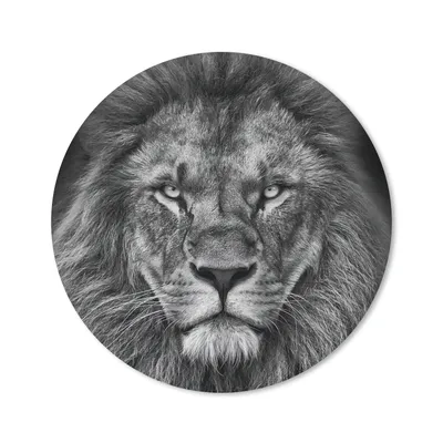 Produktbild von MuchoWow® Mauspad Mousepad Tiere - Löwe - Schwarz - Weiß - Porträt 40x40 cm - Mousepads - Maus Mat - Pad - Mausunterlage - Schreibtisch Accessoires
