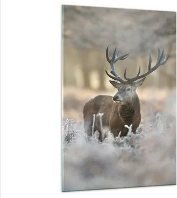 Produktbild von Bilder auf glas - Einteilig - Hirsch Wald Natur - 80x120cm - Glasbilder - Wandbilder - Bilder - zum Aufhängen bereit - Wanddekoration aus Glas - Glas Bilder - Wandbild auf Glas - GPA80x120-3744
