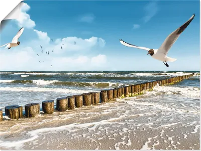 Produktbild von ARTland Poster Ostsee Größe: 80x60 cm