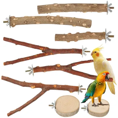 Produktbild von 8er Set Vogel Sitzstangen Naturholz Krallenschleifen für Wellensittich Nymphensittich Kanarienvogel