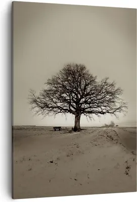 Produktbild von Bild auf Leinwand - Leinwandbild - Einteilig - Baum Schnee Sepia - 50x70cm - Wand Bild - Wanddeko - Wandbilder - Leinwanddruck - Kunstdruck - Wanddekoration - Leinwand bilder - Wandbild - PA50x70-4161