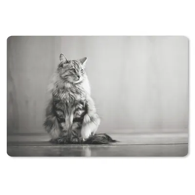 Produktbild von MuchoWow® Schreibtischunterlage Porträt einer Katze 60x40 cm - XXL Mauspad - Großes Mauspad