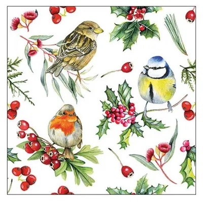 Produktbild von Ambiente Servetten Vögel im Winter 33cm