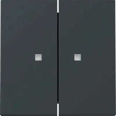 Produktbild von GIRA 363128 Wippe 2f Kontrollf. System 55 Anthrazit
