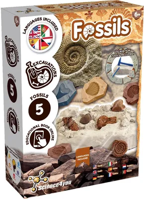Produktbild von Science4you Fossilien Ausgrabungsset für Kinder – Paläontologie mit Diesem Ausgr