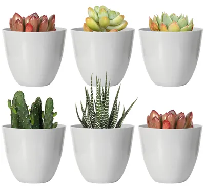 Immagine prodotto di Set di 10 piccoli vasi in plastica da 8 cm con fori di drenaggio