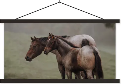 Produktbild von MuchoWow® Textilposter Pferde - Natur - Nebel 120x60 cm mit schwarzem Rahmen - Dekoration Schlafzimmer