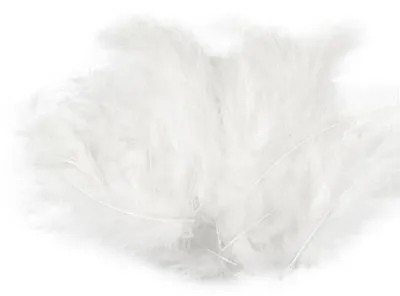 Produktbild von 15-20 Flaumfedern 09-17cm gefärbt Bastelfedern Schmuckfedern Feder Farbwahl, Größe:09 - 17 cm, Farbe:09 weiß